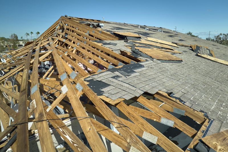 Damaged Roofs