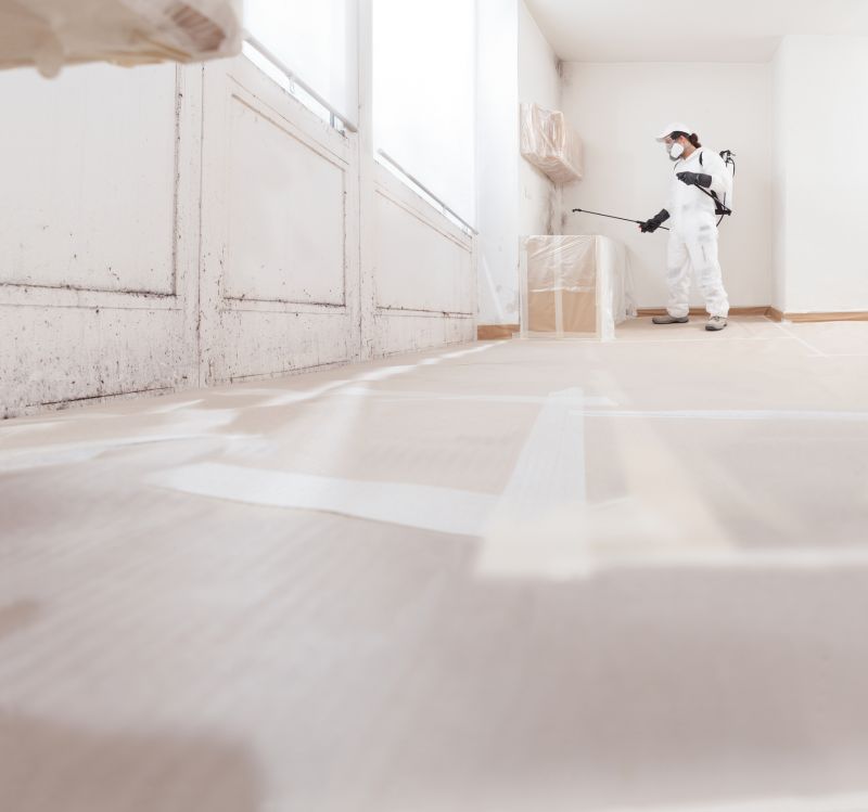 Mold Prevention and Cleanup
