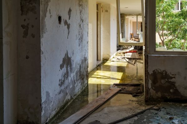 Water Removal Service in Garner