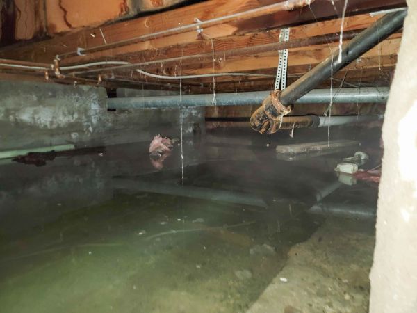 Water Mitigation Service in Garner