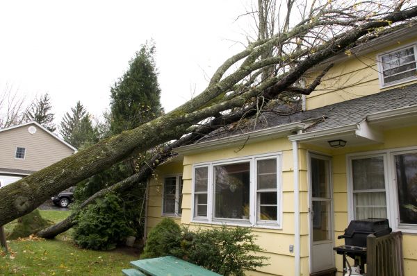 Hurricane Damage Repair in Garner